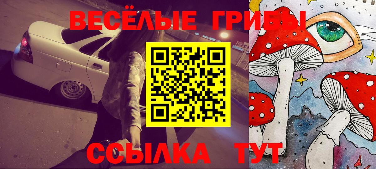 Галлюциногенные грибы прущие грибы Кропоткин